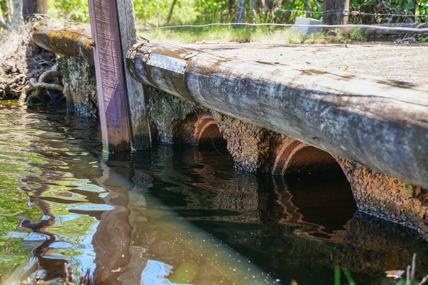 A closeup of two drains half submerged in water, greenery can be seen above and reflected in water.
