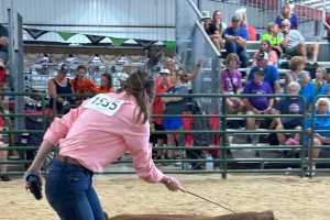 4-H livestock showmanship guides now available