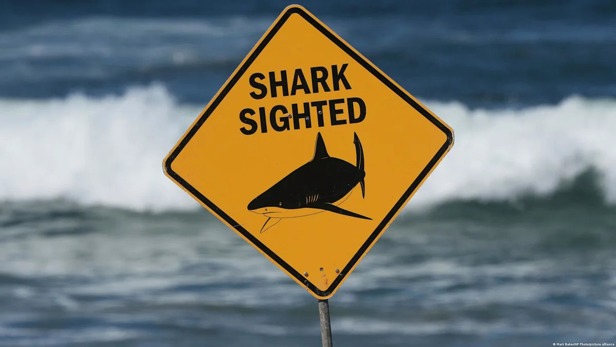 Australia: Man dies of shark attack on eastern coast