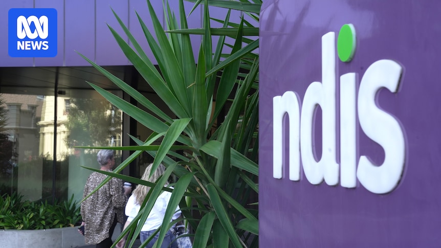 NDIS integrity inquiry hears raft of alarming claims and calls for greater whistleblower protections