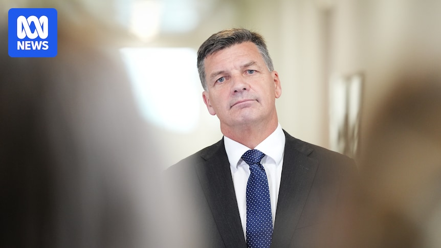 Angus Taylor vows to amend Sex Discrimination Act following 'Tickle v Giggle' case