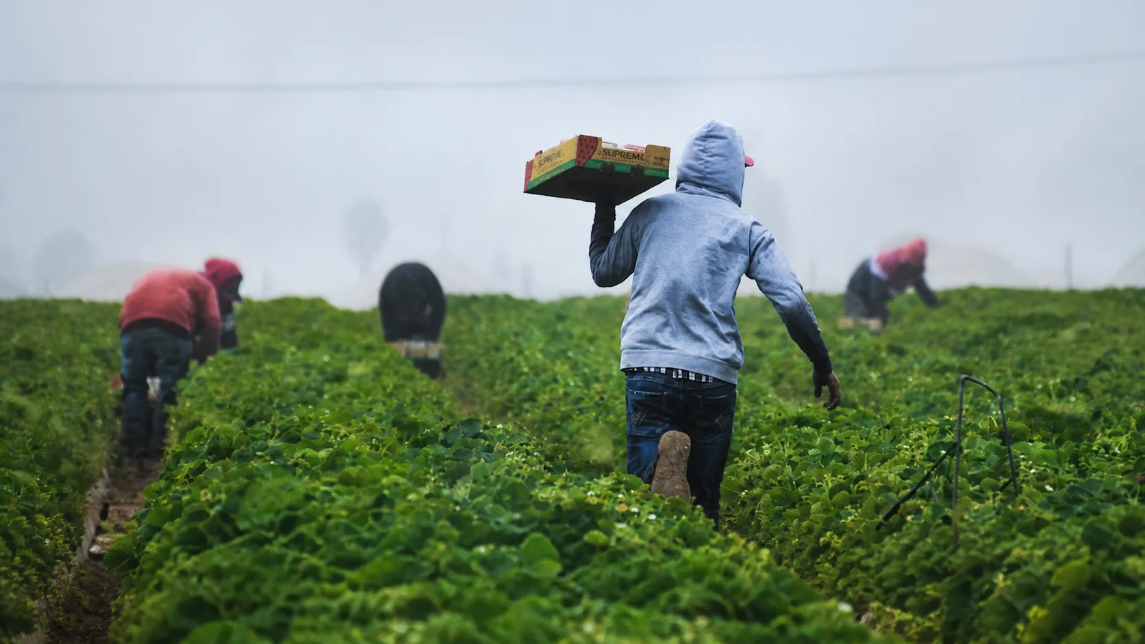 Immigrant Workers Fuel Texas' Economic Growth, Report Reveals