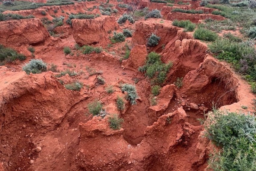Outback terrain during a police search.