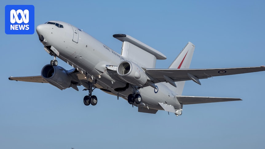 Australian Wedgetail plane gave NATO 'critical' information during Russian incursion over Estonia