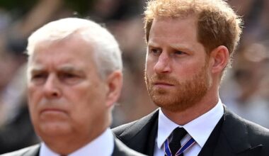 Andrew Mountbatten Windsor's security threatened prompts likely Prince Harry reaction