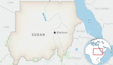 Drone strike on a busy market in Sudan kills 28, says rights group