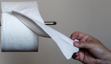 Eco-friendly toilet papers are trendy, but which you choose matters