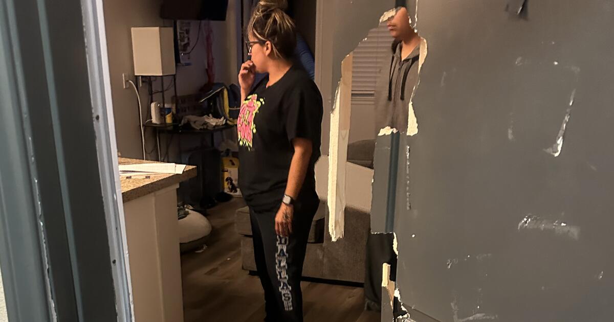 Federal agents raid homes of Ventura County immigration activists