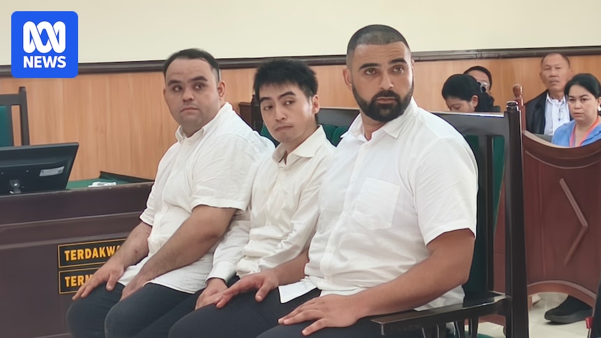 Three Australian men found guilty after taking 'black flight' into Indonesia's South Papua province