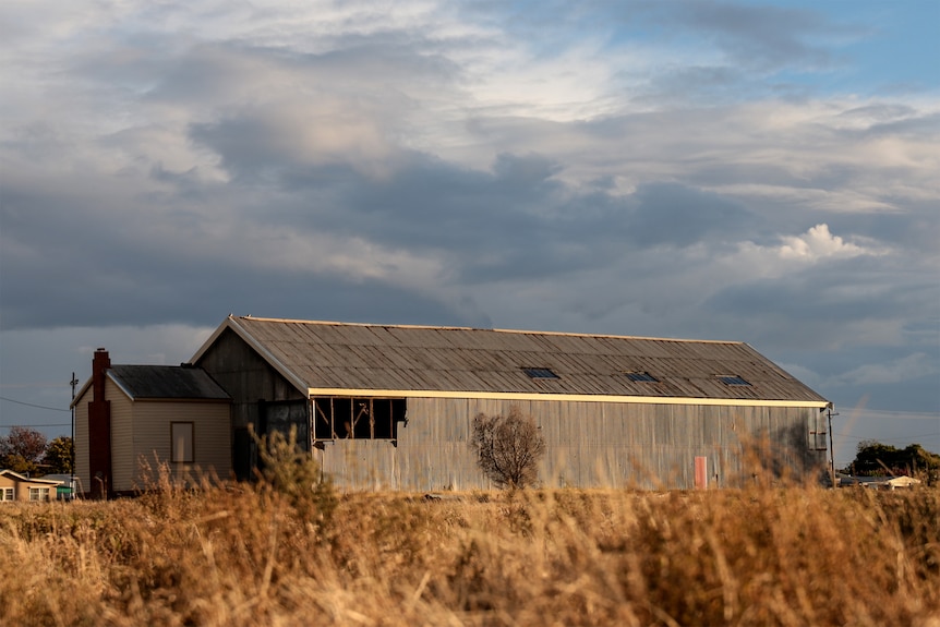 a shed in a state of disrepair, with some tin sheets missing. Yellowed vegetation in front and clouds above.