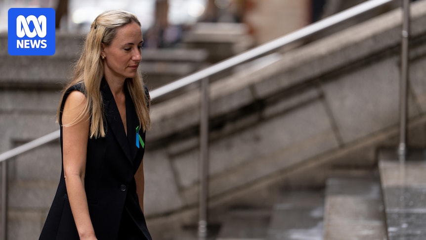 Sarah Game's bill restricting late-term abortion access passes upper house