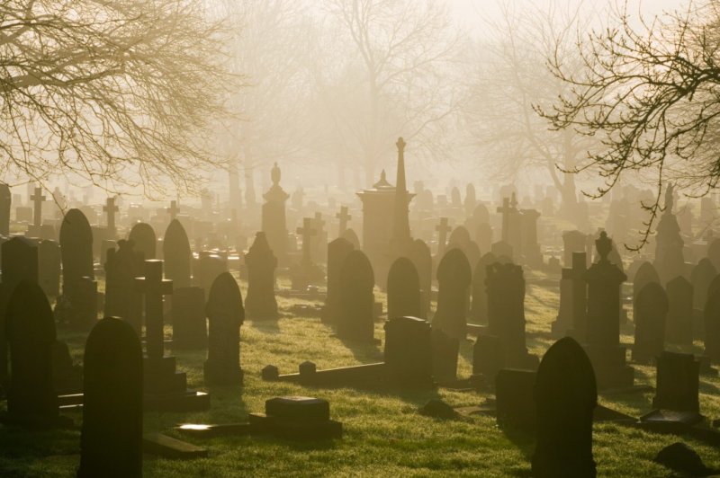Hungary police arrest man over cemetery grave theft
