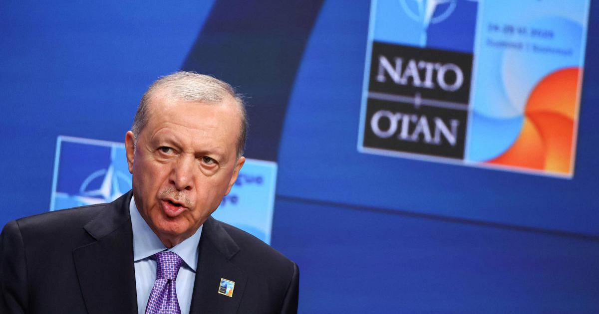 Erdogan urges NATO to build security network 'from Texas to Ankara'
