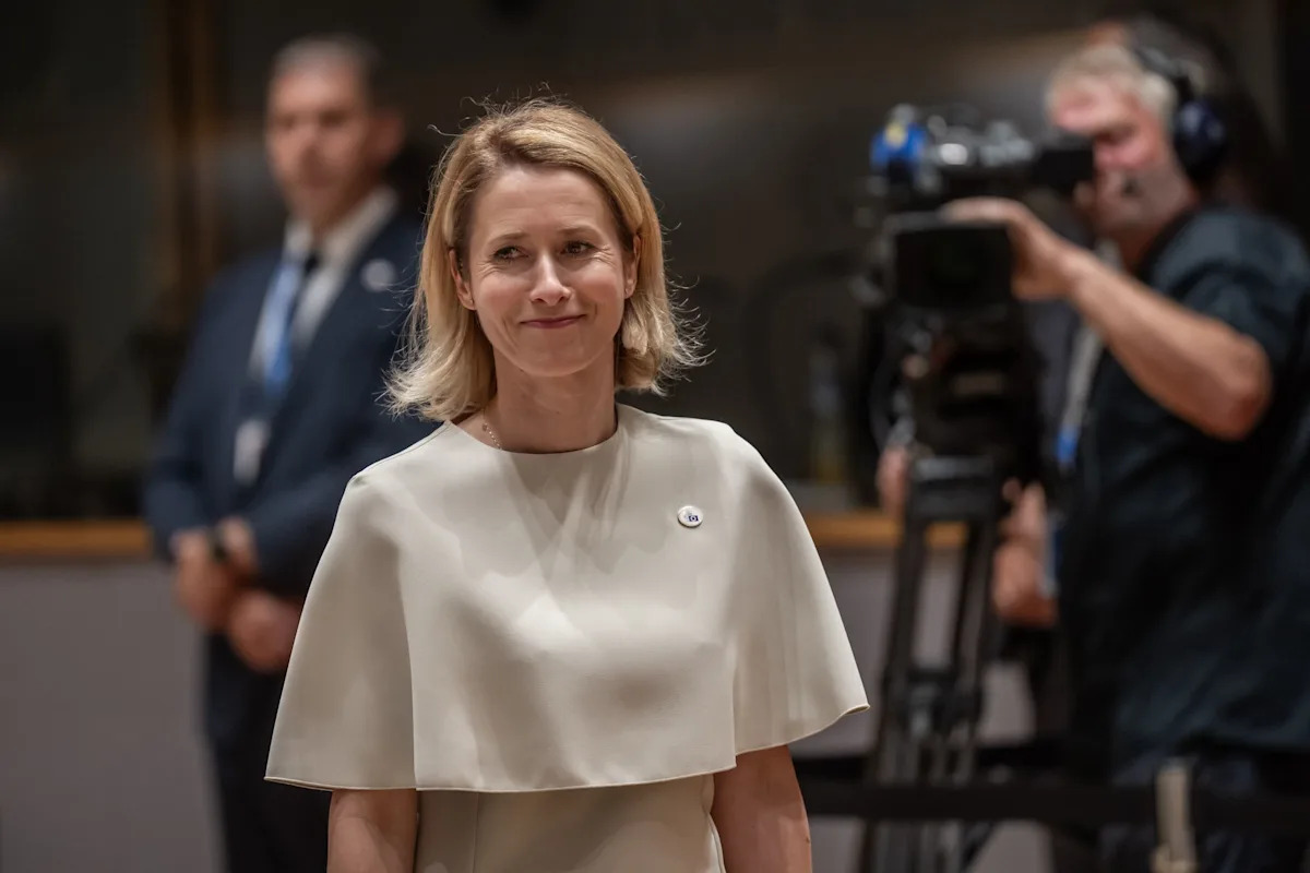 EU's Kallas meets Erdoğan in Ankara ahead of NATO summit