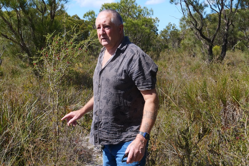 A medium shot of man standing in bushland