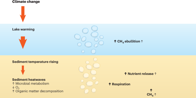 Intensified lake sediment heatwaves | Nature Geoscience