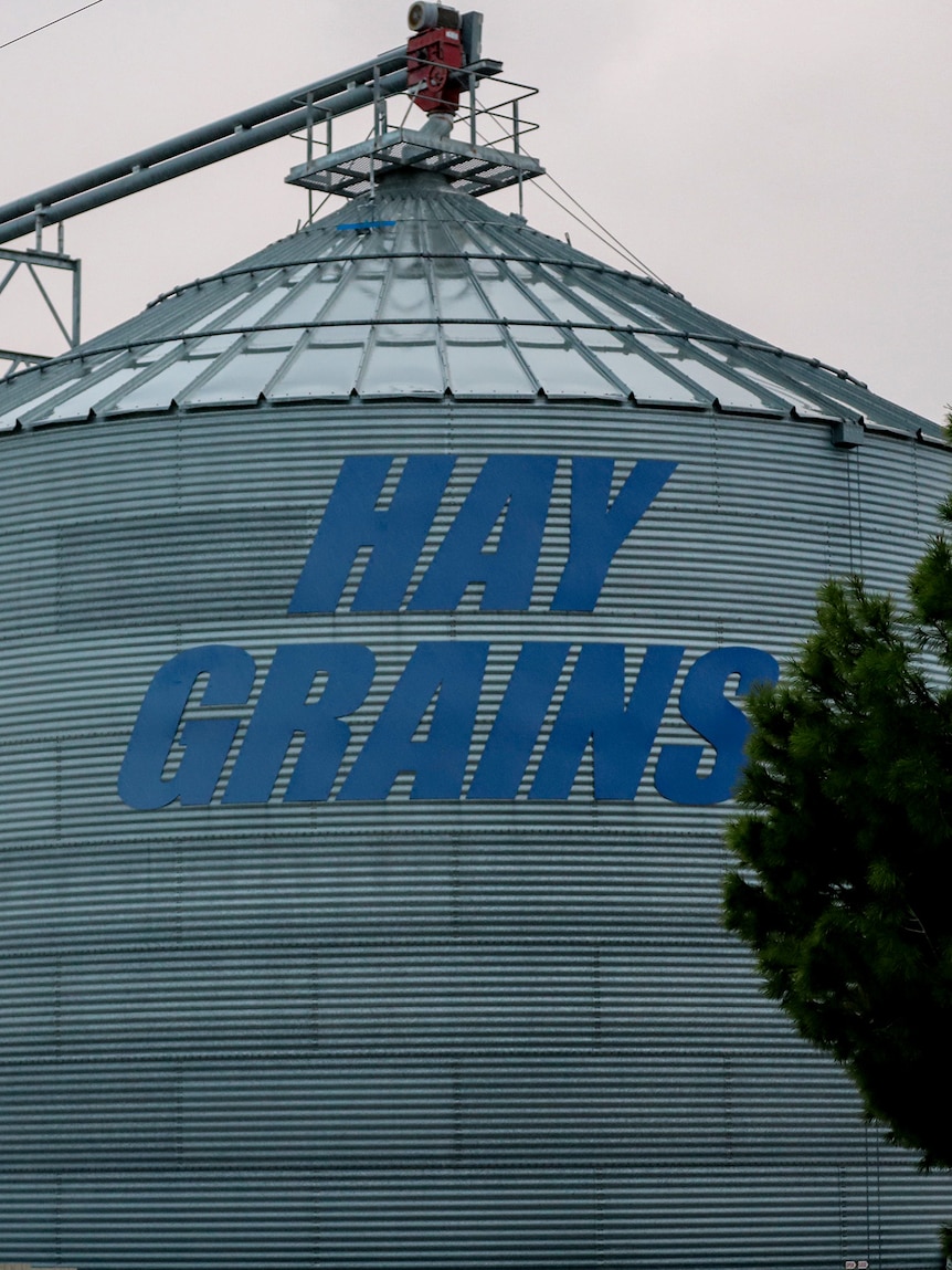 Large silver silos in a cylindrical shape with a pointed top. 'HAY GRAINS' written in large blue letters. Tree on right.