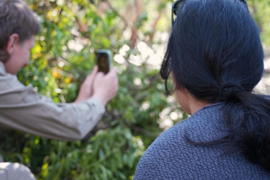 A woman with black hair facing away from a camera looks at a man wearing tan clothes taking a photo of a green bush.