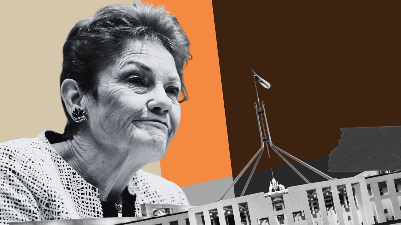 One Nation leads primary vote as 80 per cent of voters say party ready to govern by 2028: Sky News Pulse / YouGov poll