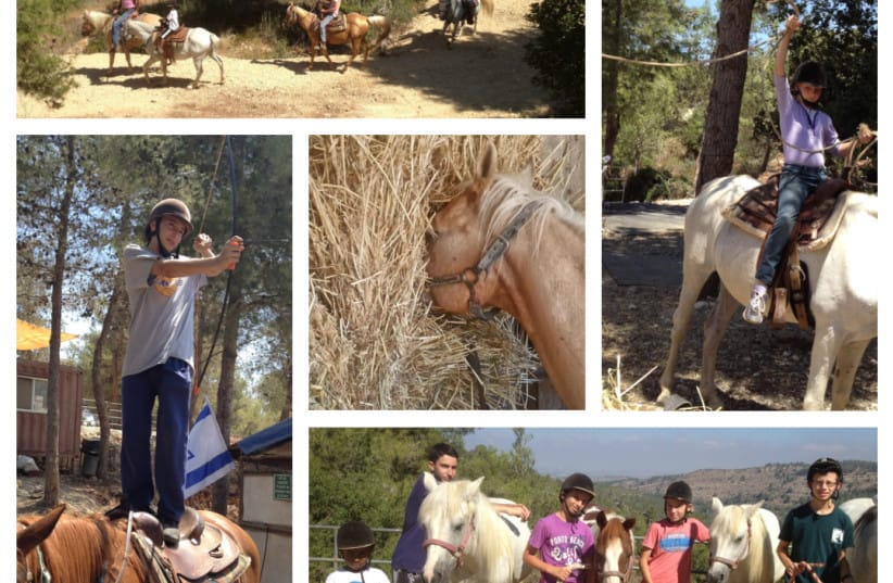 Horse riding. (credit: King David Stables)