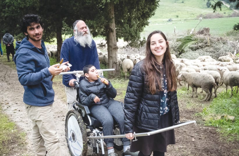 TREK AT the Hashofet Stream.