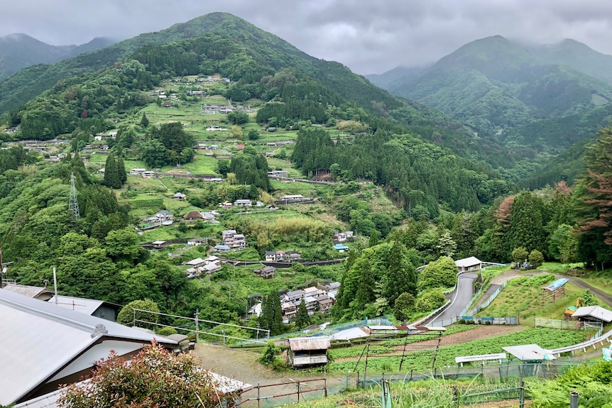 A shot of terraced farms and houses in the Iya Valley, Tokushima.