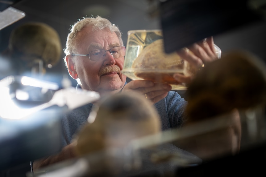 A man holding a resin mold containing a human skull.