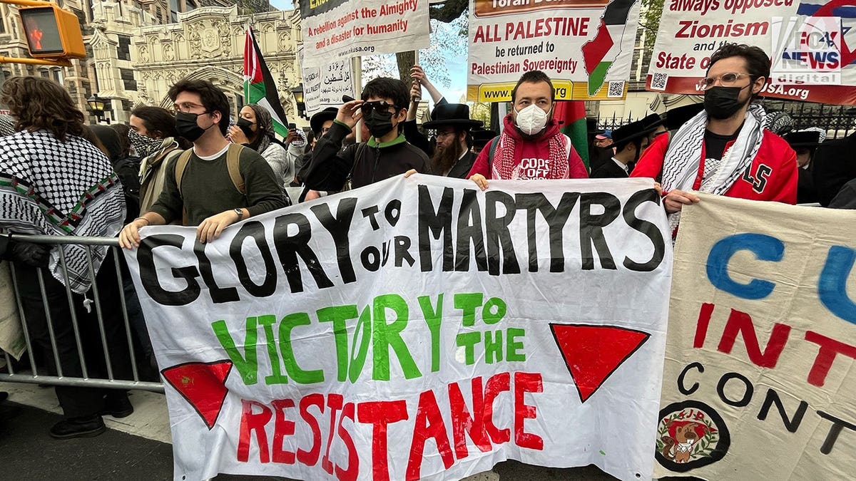 Protesters in NYC