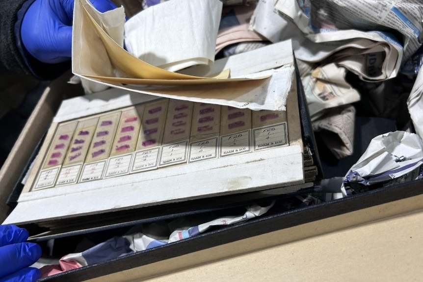 A gloved hand pulls a tray of microscope slides wrapped in old newspaper out of a cardboard box.