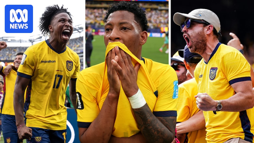 World Cup quick hits: Ecuador does the impossible, Sweden trains the house down