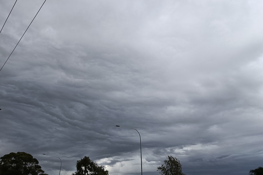 Grey rain clouds gather in the sky as a storm brews in Gilles Plains.
