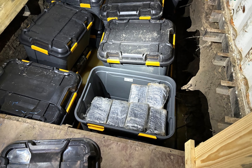 A series of plastic tubs filled with packaged drugs sitting inside a hole within a shipping container floor.