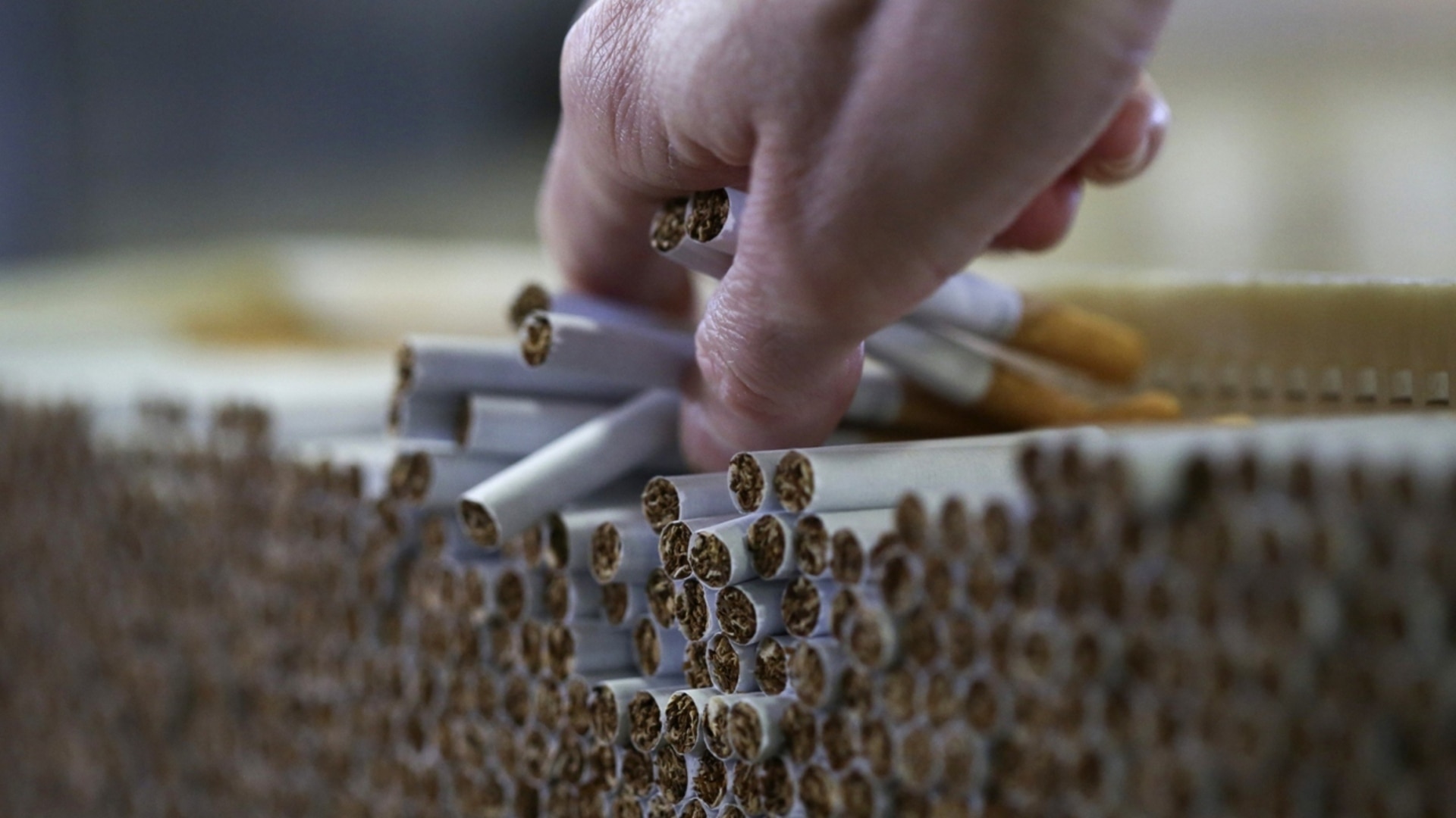 Illicit tobacco market promotes crime and violence as NSW allocates millions to law enforcement