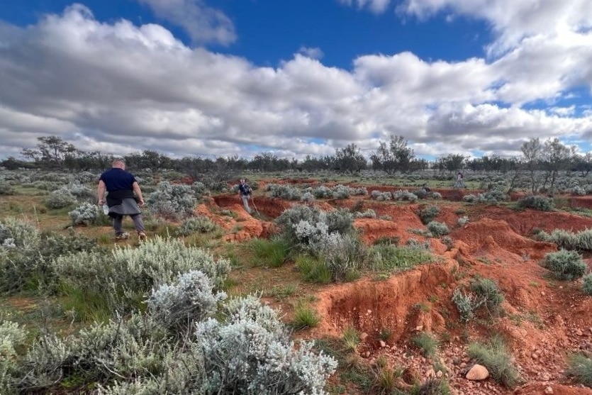 Outback terrain during a police search.