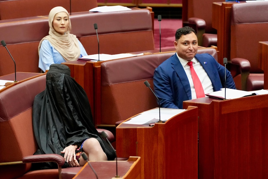 Pauline Hanson in the Senate, wearing a burka.