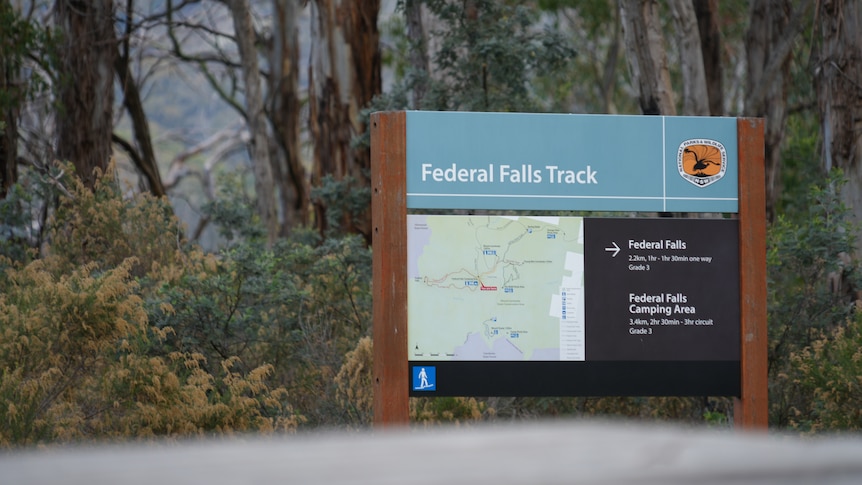 Green overlapping gumtrees with signs in the foreground for bush walking tracks.