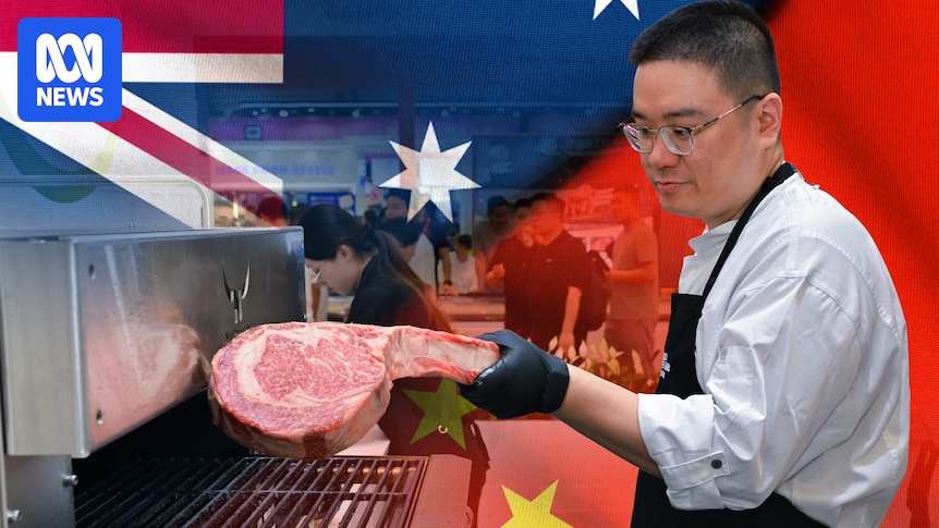 Australian bull semen exports to China resume after pandemic pause