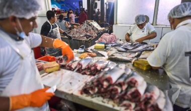 Seafood prices are swimming higher. Why?