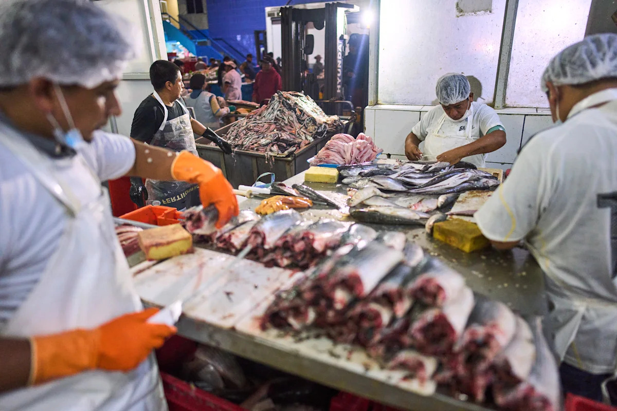 Seafood prices are swimming higher. Why?