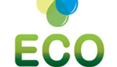 Eco (Atlantic) Oil and Gas Ltd. Announces Ministerial Approval for Namibia PEL 98 Farm-Out