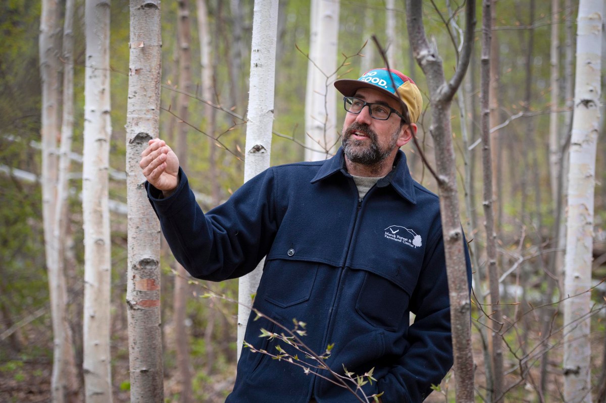 A man wearing glasses, a blue jacket, and a cap stands among birch trees in a forest, gesturing with his right hand.