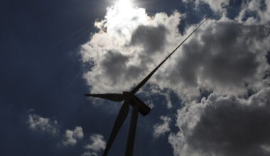 Renewable Energy Groups Sue Defense Over Wind Review Freeze