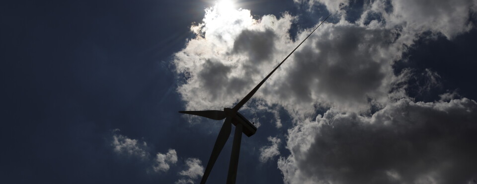 Renewable Energy Groups Sue Defense Over Wind Review Freeze