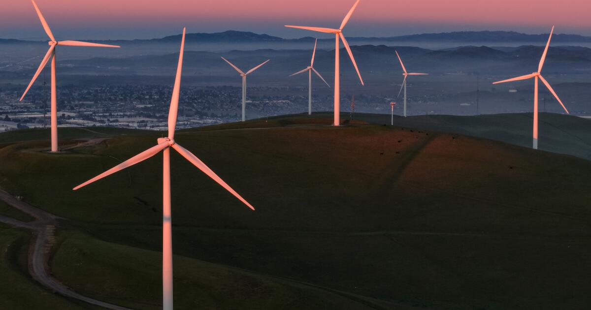 Insurance company says energy transition is ‘alive and well’