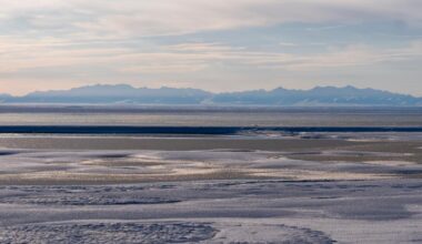 Limited interest in latest oil and gas lease sale for Alaska's Arctic National Wildlife Refuge