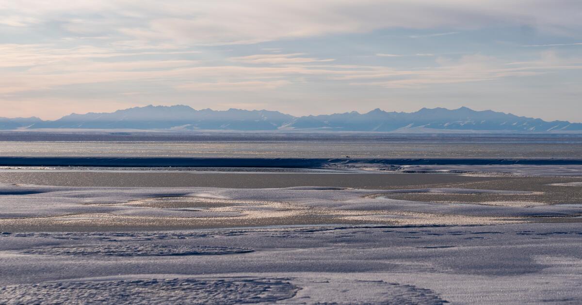Limited interest in latest oil and gas lease sale for Alaska's Arctic National Wildlife Refuge