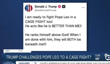 Fact or Fiction: Trump wants to fight Pope Leo in cage match?
