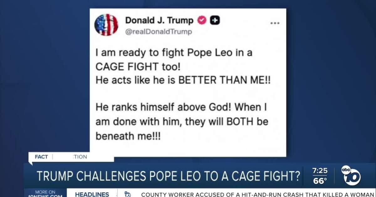 Fact or Fiction: Trump wants to fight Pope Leo in cage match?