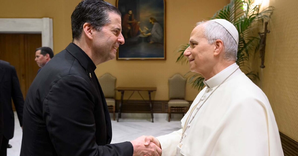 Niagara University president meets Pope Leo at Vatican higher education seminar