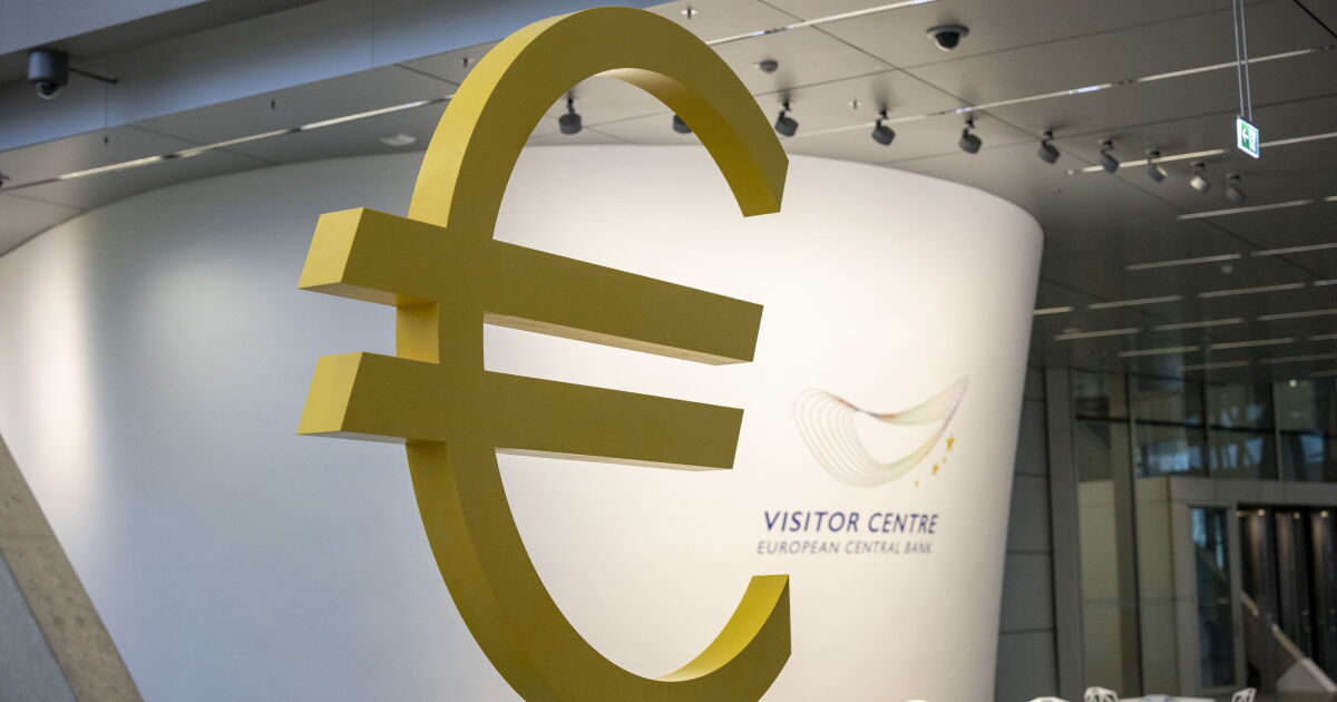 As the EU attacks U.S. giants, Visa and Mastercard get local